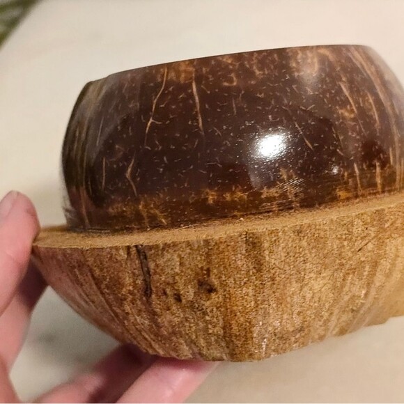 Coconut Shell Pot Planter for Orchid Flowers Cactus African Pot Handcrafted - Picture 4 of 7